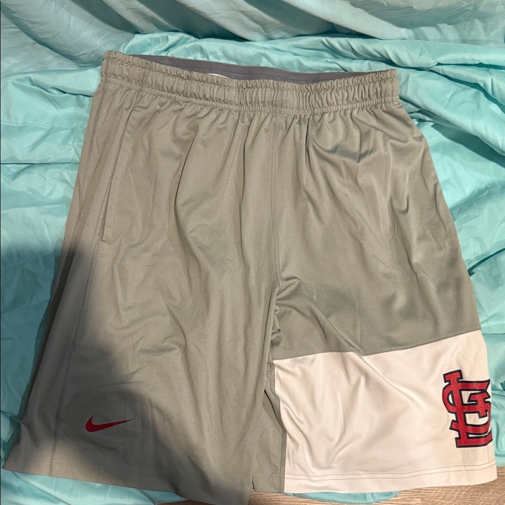 Nike Gray and White Sports Shorts with Red Logo